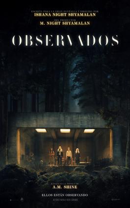 OBSERVADOS